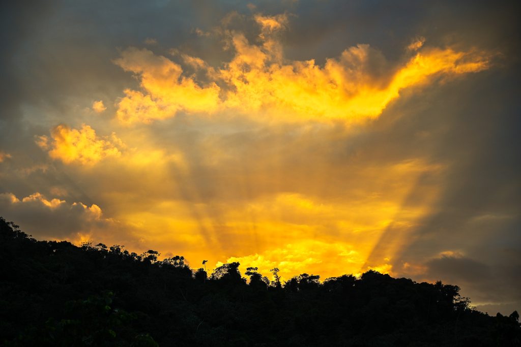 A breathtaking sunset casts golden rays over the lush hilltops near Hacienda Eterna Primavera. Guests can enjoy this mesmerizing view as the day winds down — a peaceful close to a day of connection with nature and tranquility.
