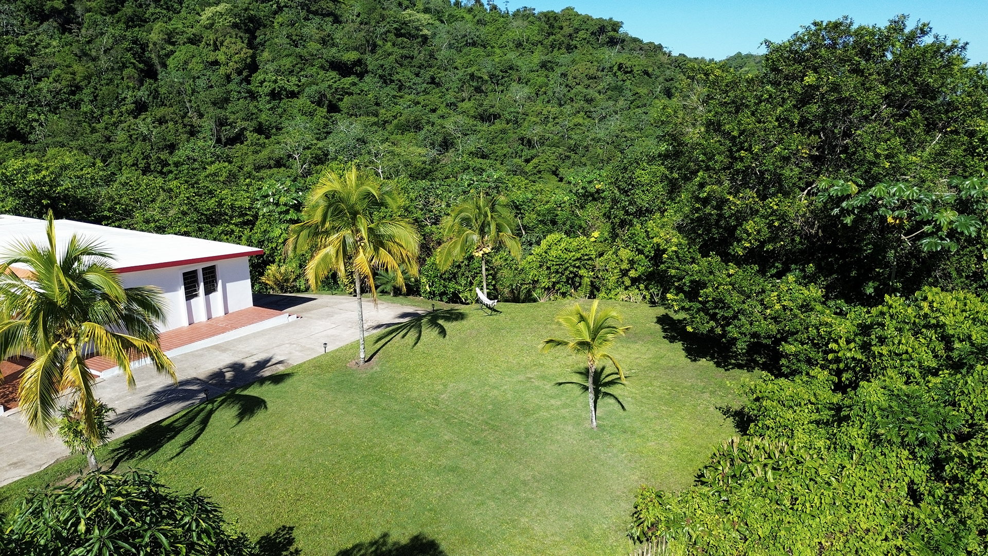 Aerial view of the large garden lawn and tropical surroundings.