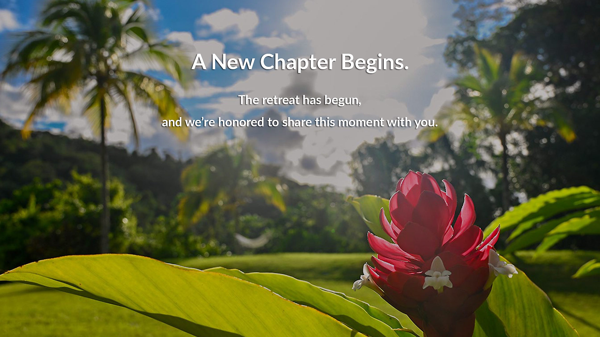 Tropical garden scene with a bright red flower, welcoming the first guests at Hacienda Eterna Primavera.