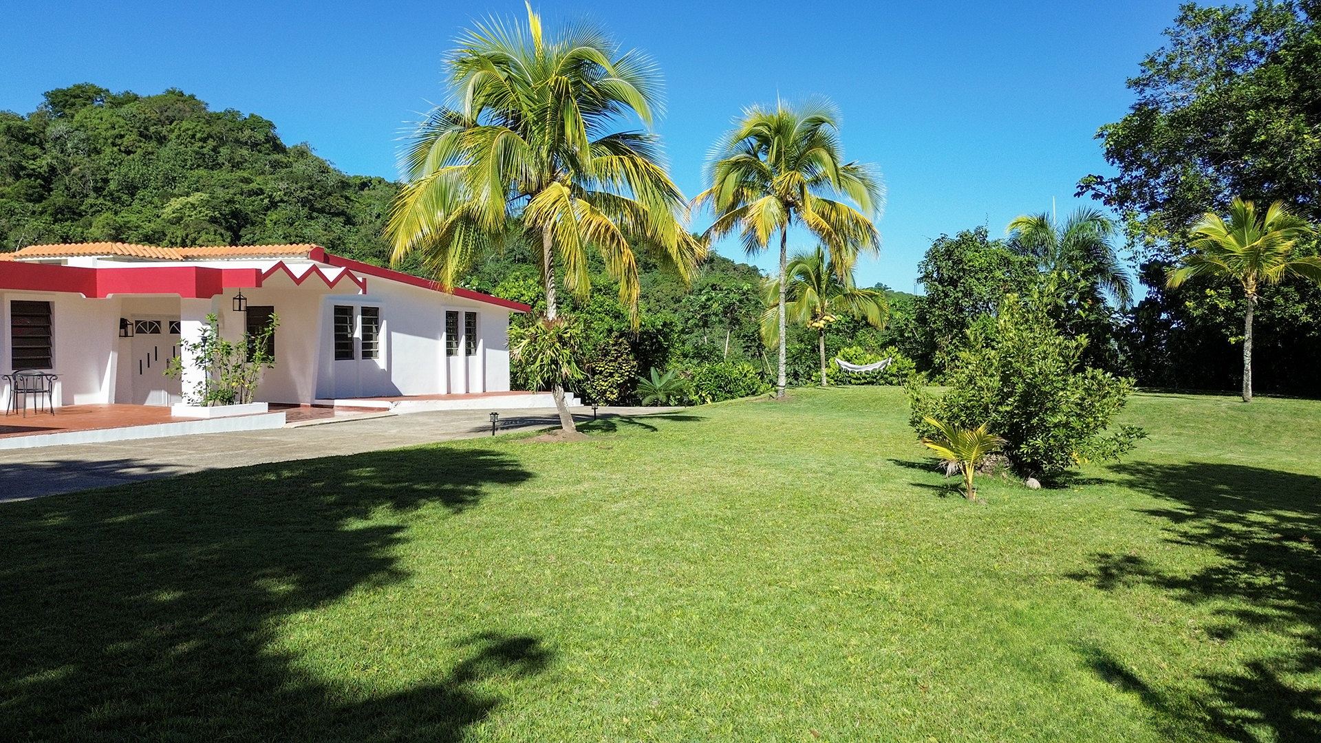 Palm trees and open green space in the tropical garden.