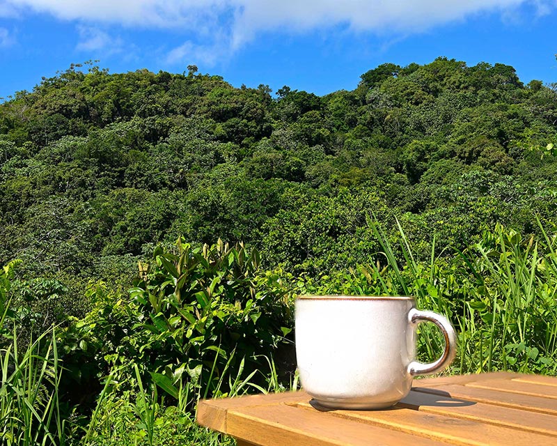 Fresh morning coffee on a wooden table overlooking the tropical mountains at Hacienda Eterna Primavera.