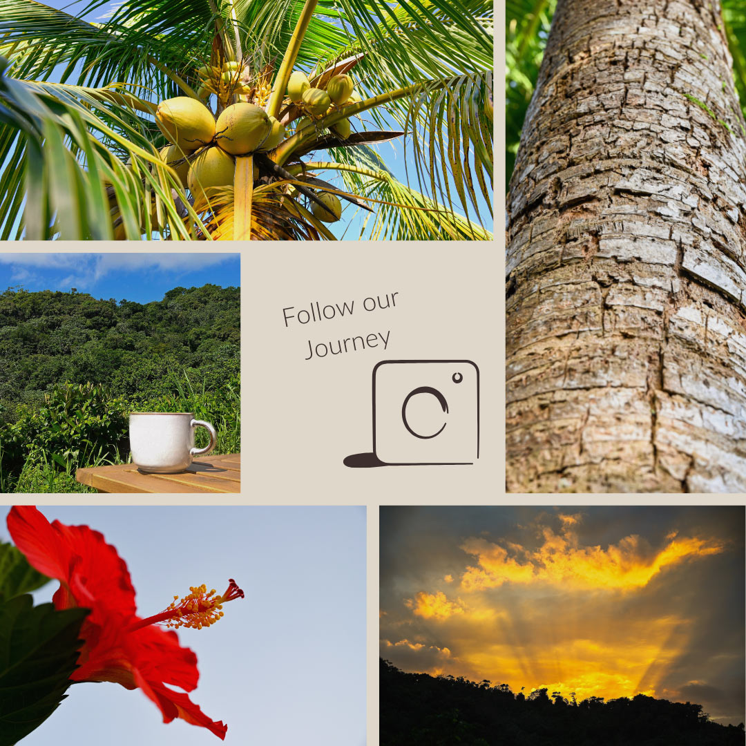Collage of tropical scenes at Hacienda Eterna Primavera in Puerto Rico, featuring a coconut palm tree, tree bark close-up, coffee cup with mountain view, red hibiscus flower, and golden sunset over the mountains, promoting the retreat’s Instagram journey.