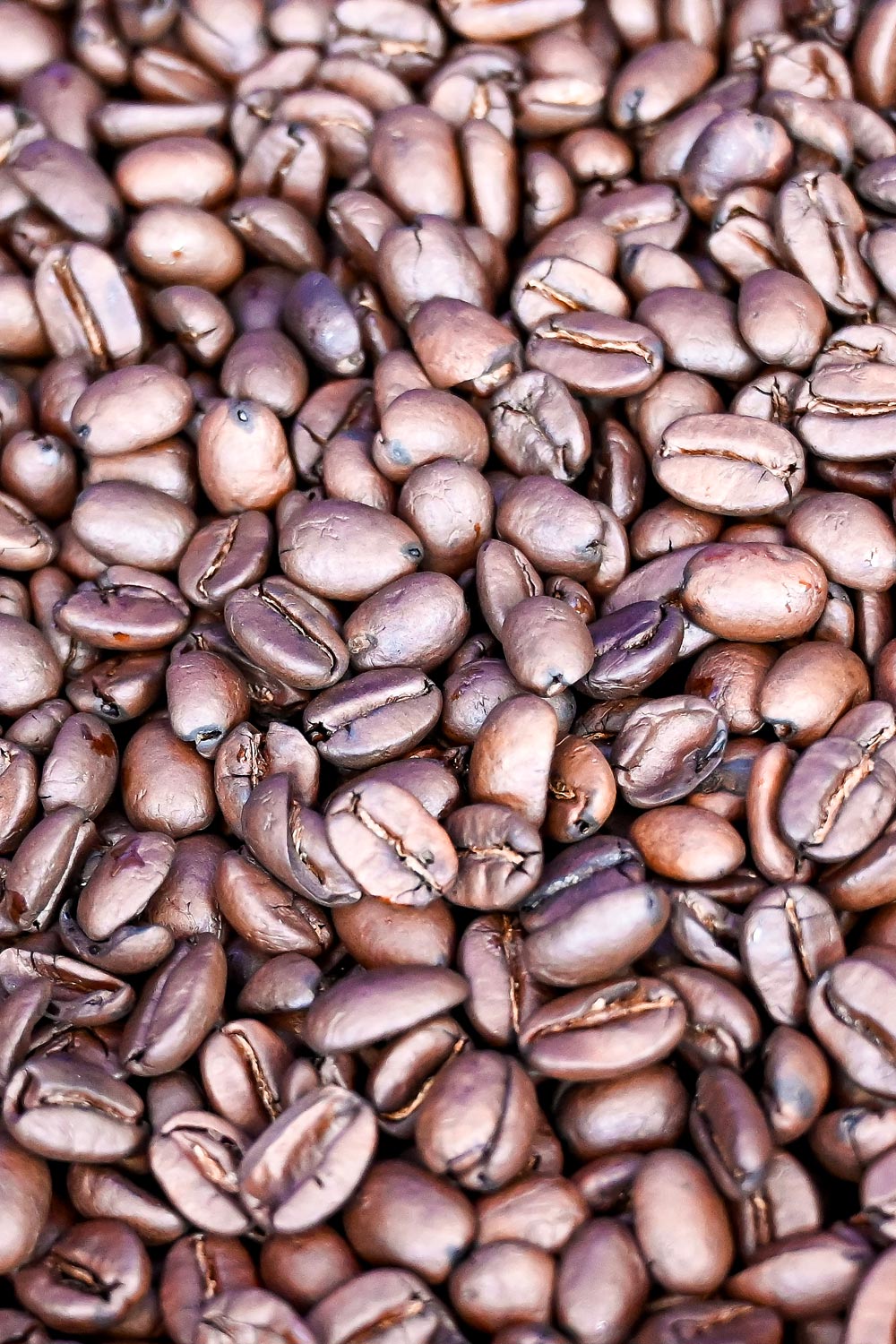Close-up of freshly roasted coffee beans with rich brown texture