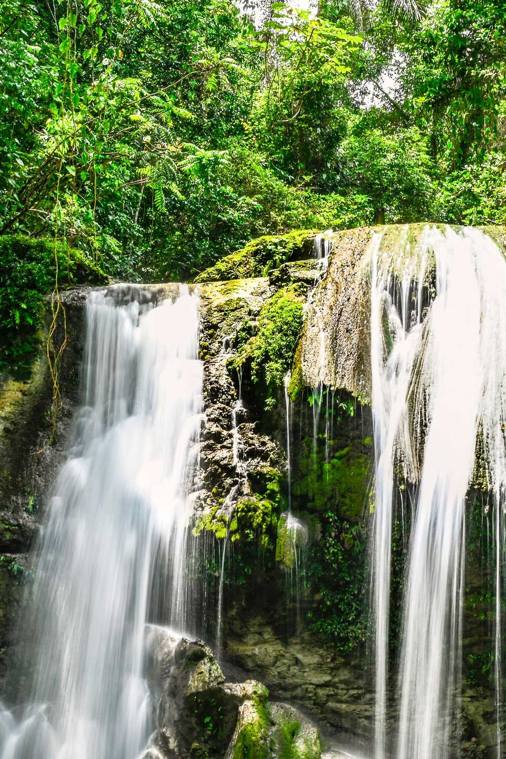 Lush tropical waterfall surrounded by vibrant green jungle vegetation