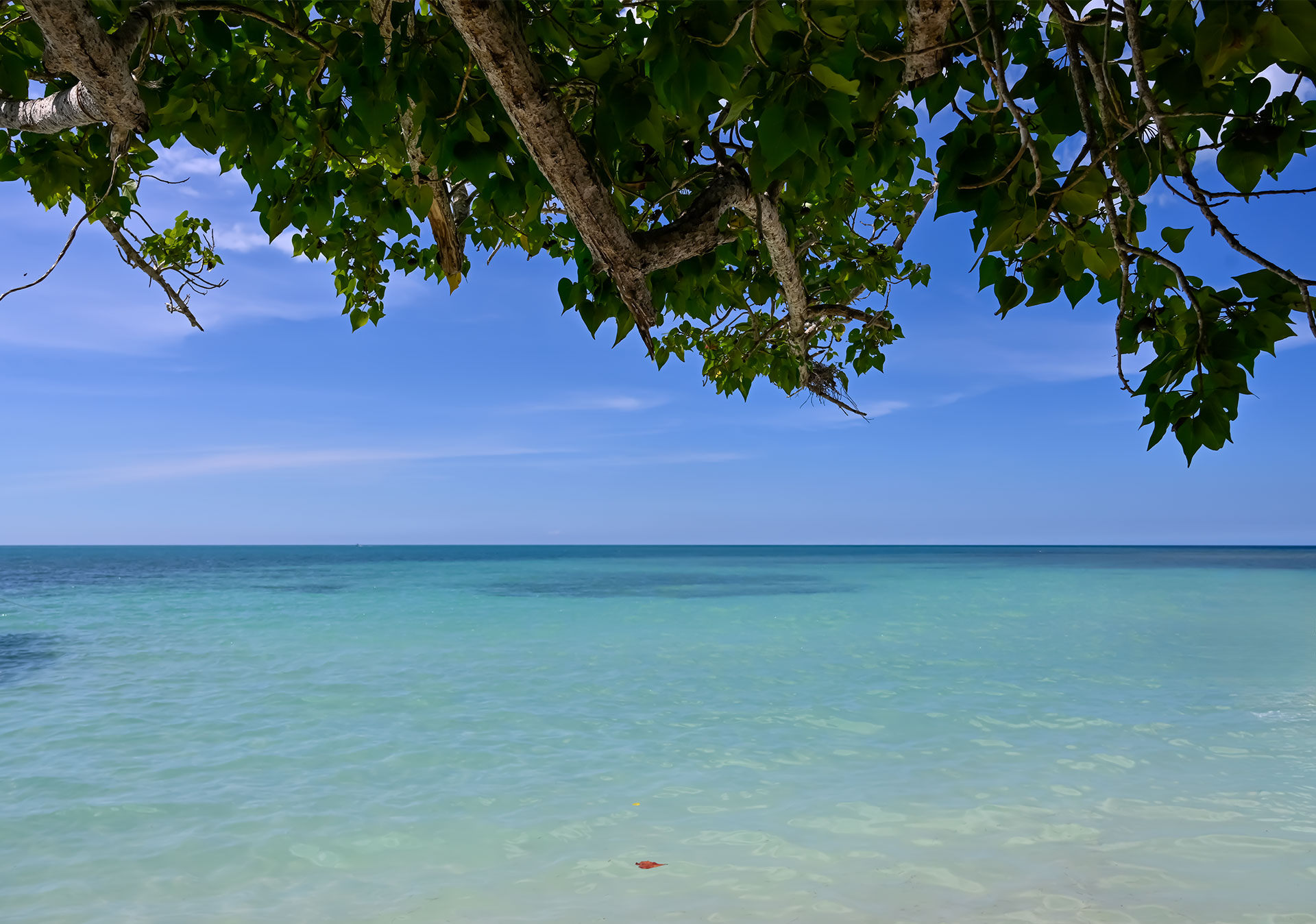Calm turquoise water at Playa Buyé in Cabo Rojo, a west coast beach easily reached as a day trip from Puerto Rico’s interior