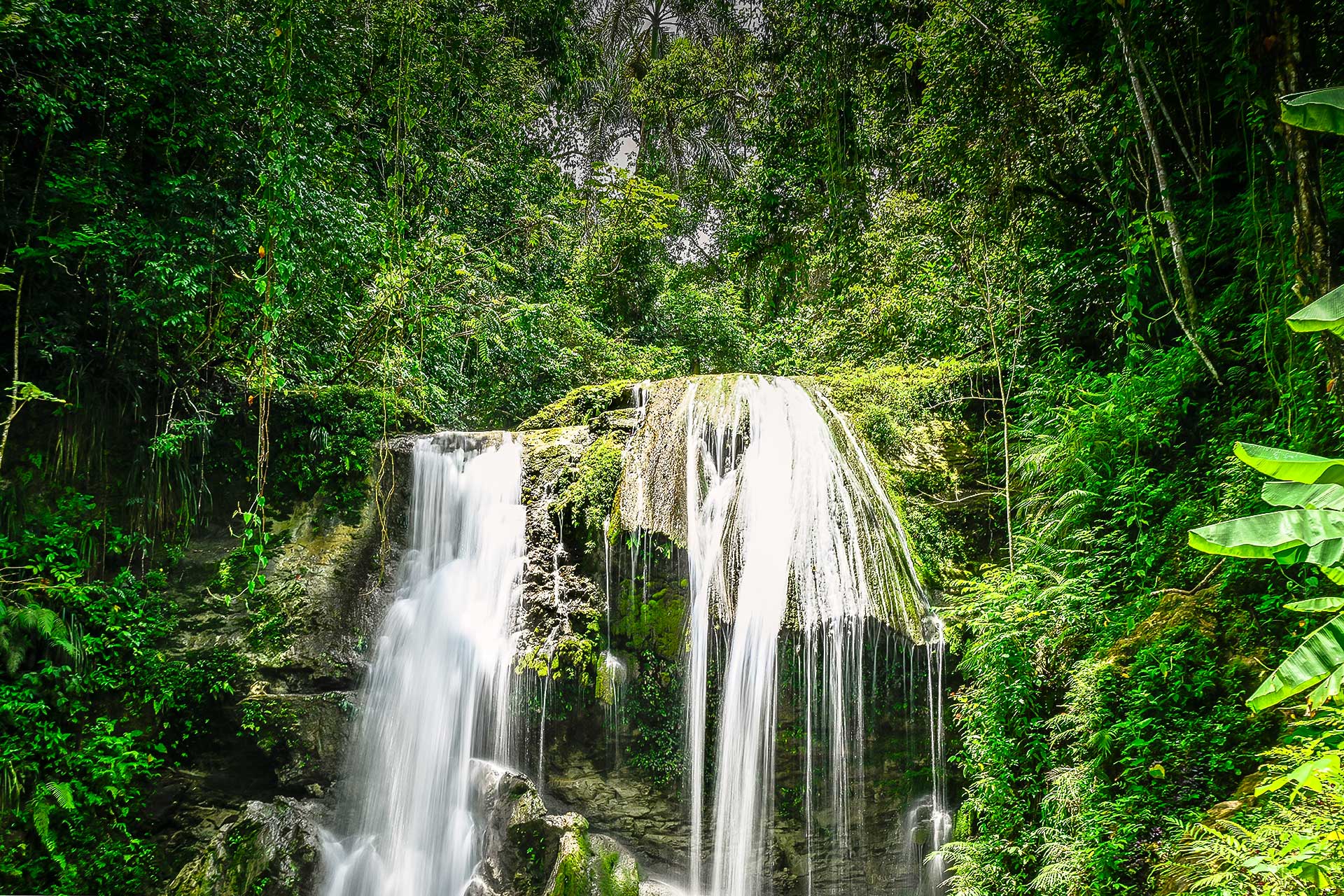 Waterfall cascading over moss-covered rock in a lush forest in Puerto Rico’s mountainous interior