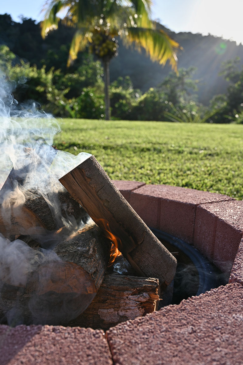 Campfire with tropical Mountain View.